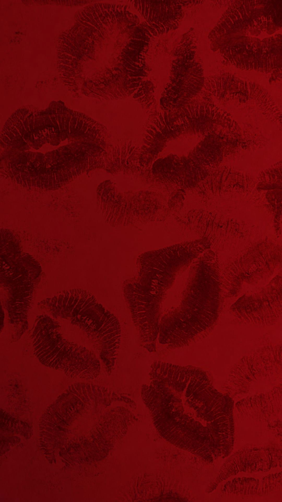 bnls.lashes
