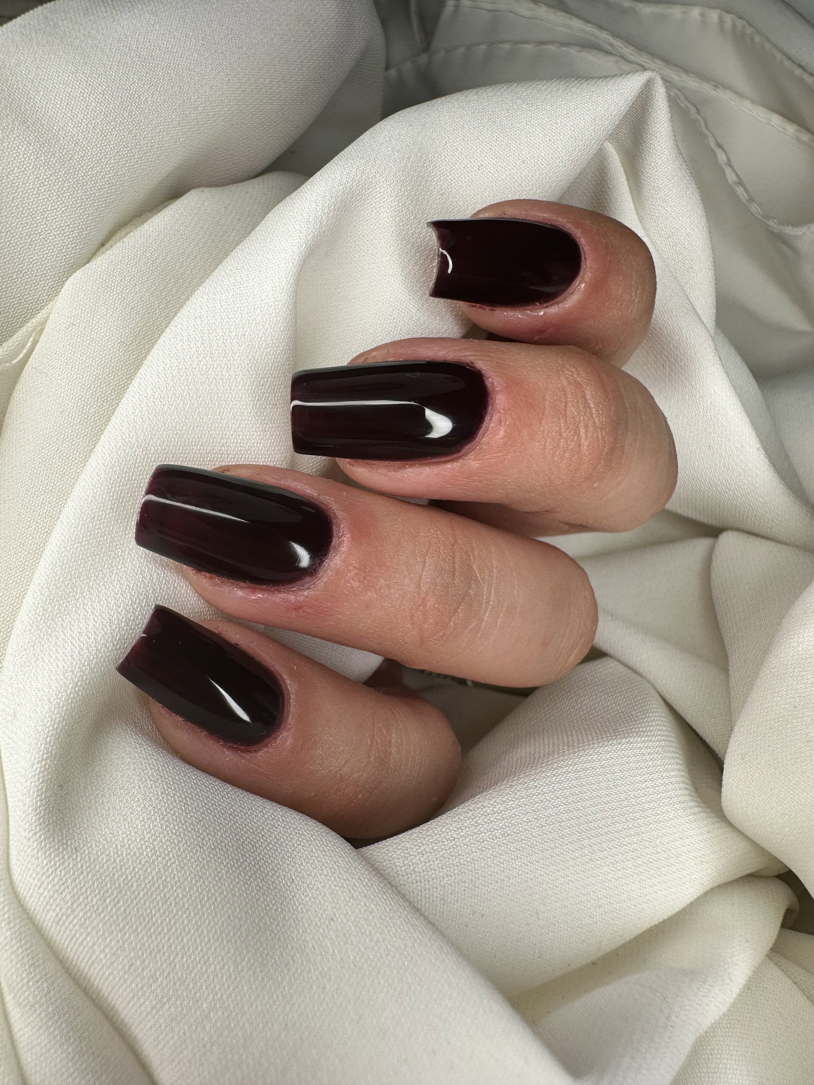mllebeaute