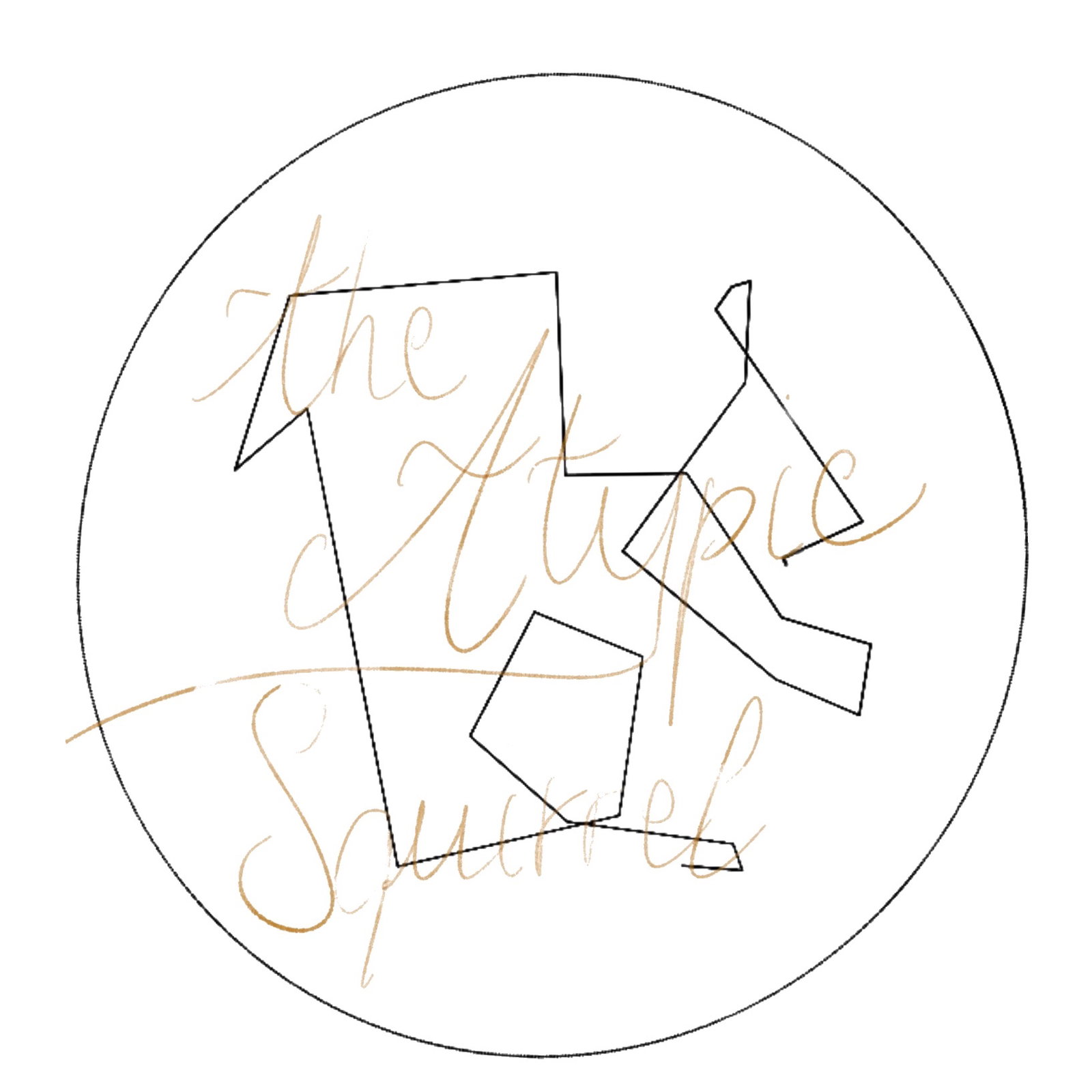 atypiksnow