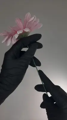 Pajnails