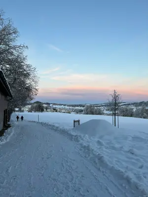 alysssch_