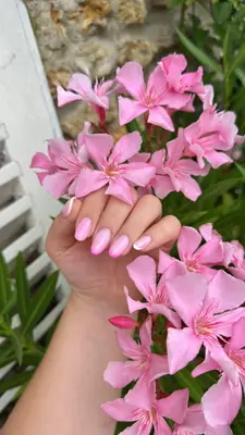 Loraanailss