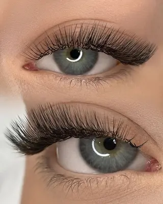 morale'sbycils