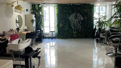 Salvador Coiffure