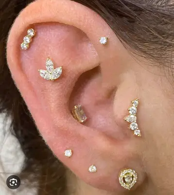 Aesthetic piercings