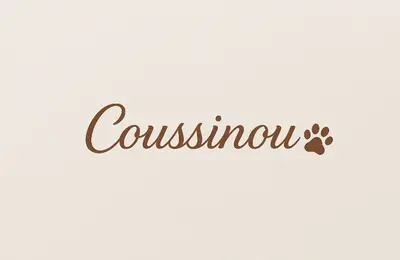 Coussinou