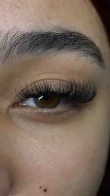 Amlashestudio