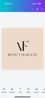 institutVF