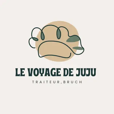 LeVoyagedeJuju