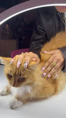 Nailzx777
