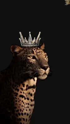 Bellefeline
