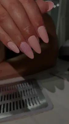 Annails.81