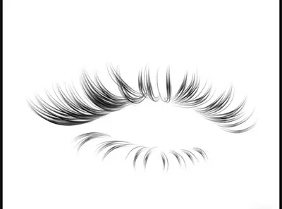 Xolashes