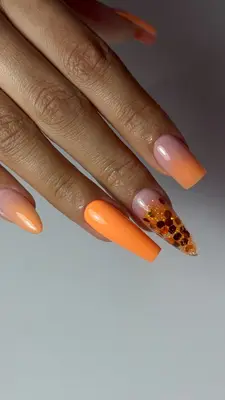 𝓨𝓸𝓾𝓻𝓖𝓵𝓪𝓶