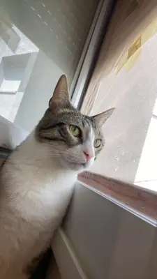 Yasmina