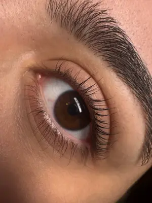 Laulashes