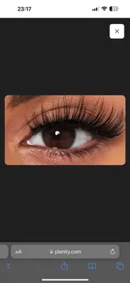 cils.andliss