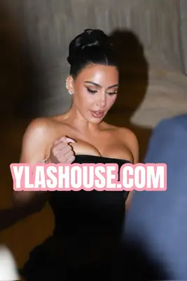 YLASHOUSE.COM