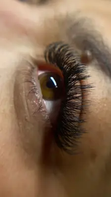 Lashbeauty_69