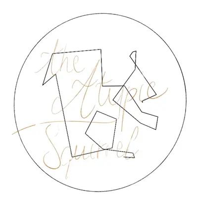 atypiksnow