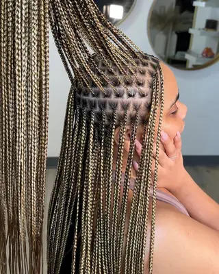 Braids Hub