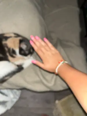 Nails._byrdh