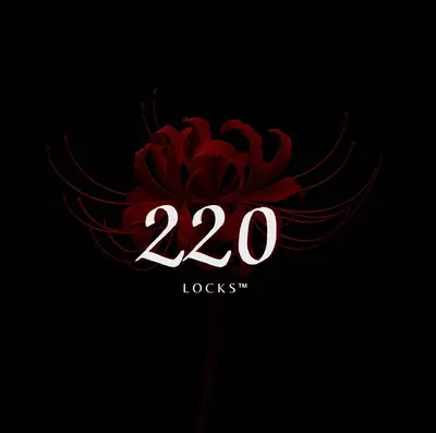 220_locks