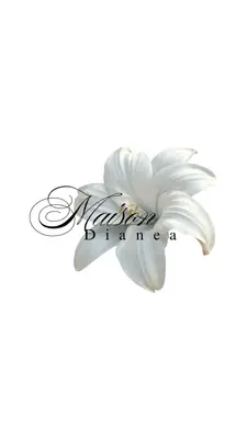 MaisonDianea