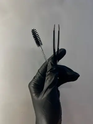 Lash H x B