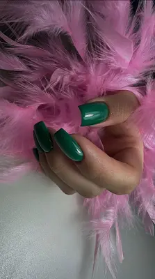 Annaelleonglerie