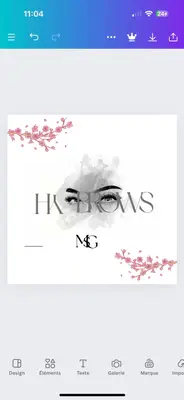 Hy brows