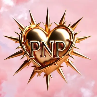 Perfect Nails Pro