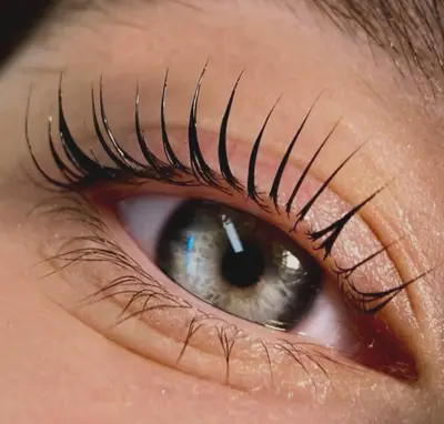 Sokolova_lash_brows_94