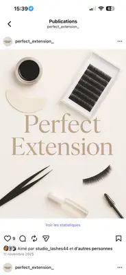 perfect_extension_