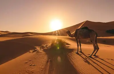 Authentic Tours Marrakech