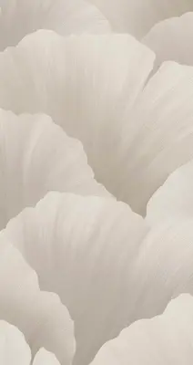 M.Studiio