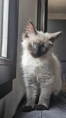 Beauté d'Auré