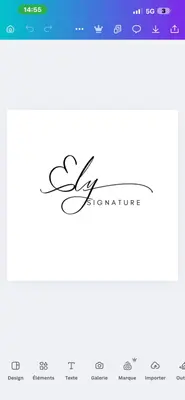 Ely.Signature