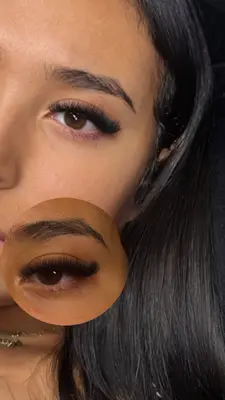 dd-lash
