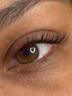 maisanbrows