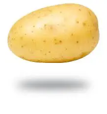 Ngn