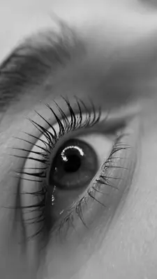 Regard Précieux