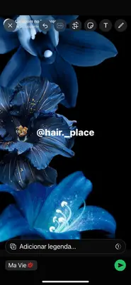 hair Place