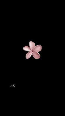 glambylucile