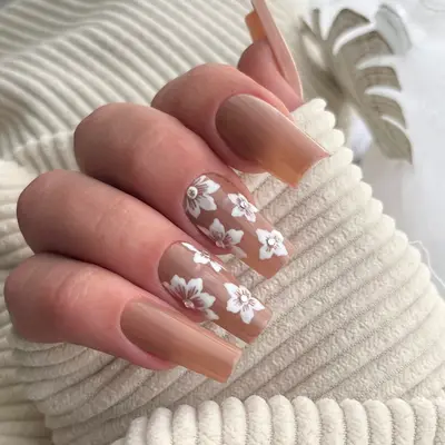 signails