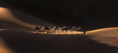 Marrakech Desert Trips