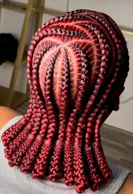 _braids_by_tima