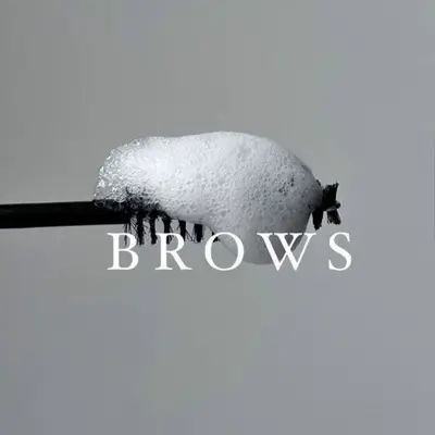 Browsbynessayem
