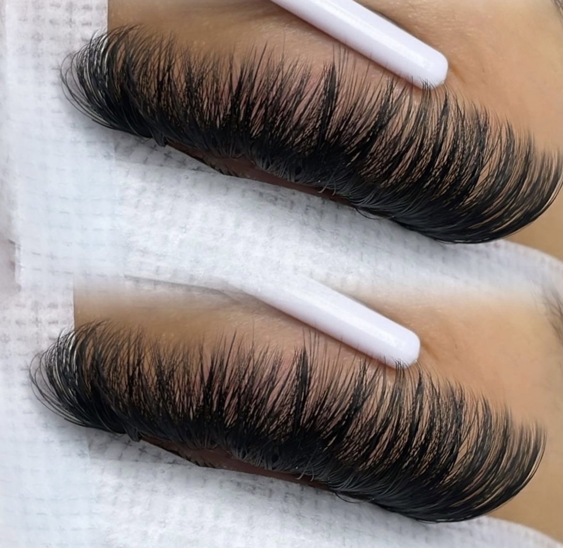 hayleebeauty_lash